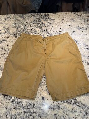 Volcom Men's Drawstring Shorts in Tan
